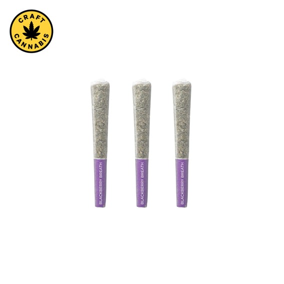 Blackberry Breath Pre-Rolls | 3x0.5g